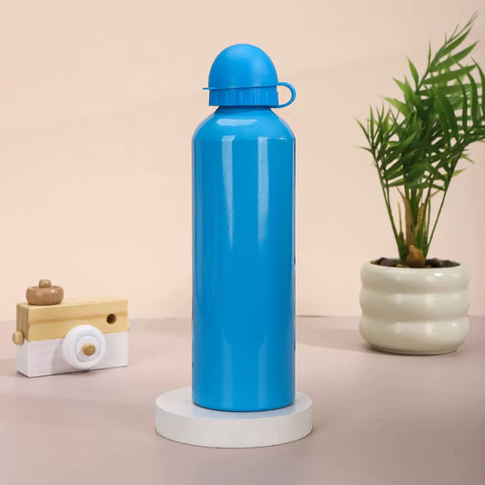 Stainless Steel Water Bottle - 500ml