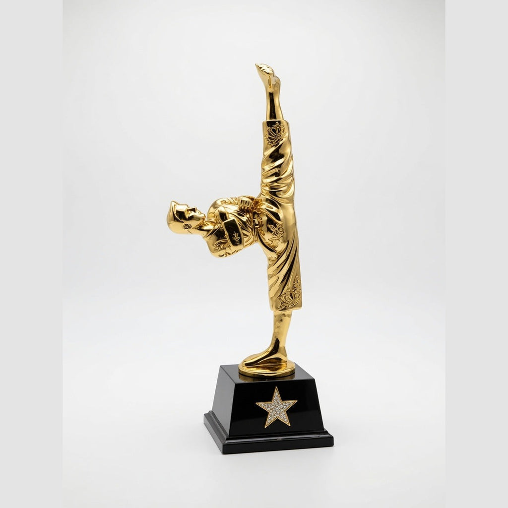Golden Karate Trophy – Premium Sports Award