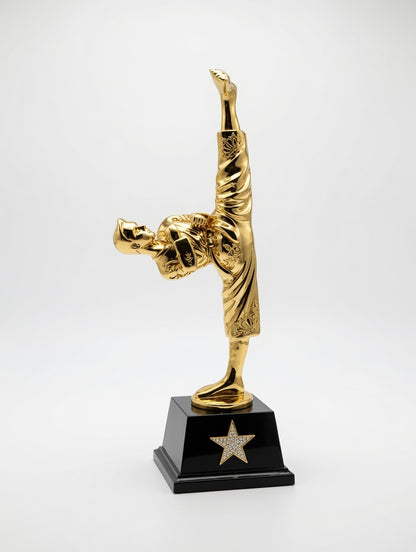 Golden Karate Trophy – Premium Sports Award